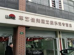 -车艺佳龙膜隐形车衣汽车贴膜(宝山丰宝店)