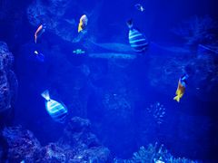 -波塞冬旅游度假区