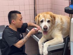 -FAELING PETS美天灵宠物(富力广场店)