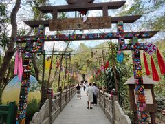 -西双版纳原始森林公园