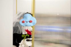 -迈瑞米求婚策划(静安店)