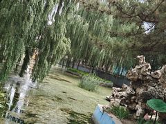 -保定市动物园