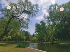 -上海共青森林公园