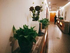 -丹江渔村(望京店)