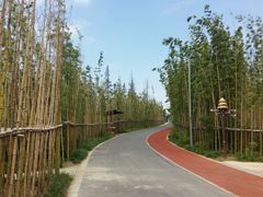 -上海长兴岛郊野公园