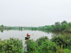 -白鹭湾湿地公园