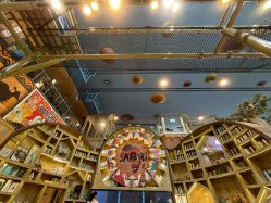 -卡通尼·Safari非洲探索乐园·生日会(金桥国际商业广场店)