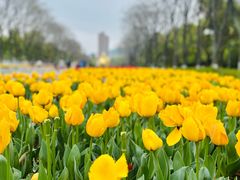 -玄武湖景区-情侣园游乐场