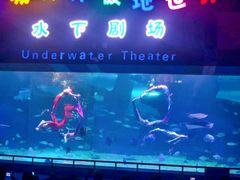 -泉城欧乐堡海洋极地世界