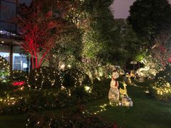 -上海外滩英迪格酒店