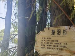 -映月湖公园