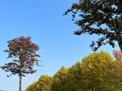 -宜兴龙背山森林公园