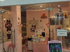 -三花喵·撸猫购宠·宠物生活馆(虹桥南丰城店)