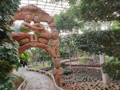 -石家庄市植物园
