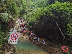 -南海湾森林生态园