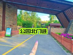 -东郊湿地公园