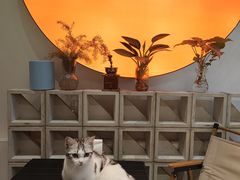 -seeu coffee(江滩店)