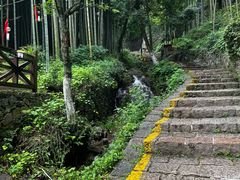 -莫干山风景区