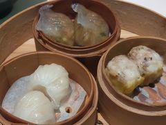 招牌蝦餃皇-真點心(高士德店)