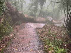 -沐川竹海旅游景区