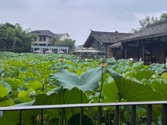 -莫催咖啡