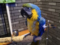 -成都浩海立方海洋公园