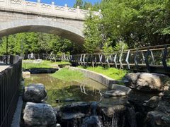 -白水寺森林公园
