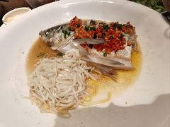 -印象鲵宴·张家界地标美食名片(溪布街店)