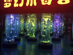 -梦幻海洋王国(吾悦广场张家港店)