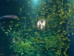 -成都浩海立方海洋公园