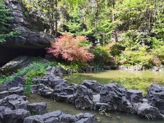 -梭布垭石林景区