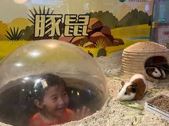 -杭州开元森泊度假乐园