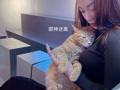 -极木²邸 人与宠物·互动社区
