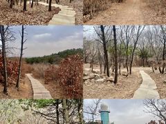 -沈阳辉山风景区