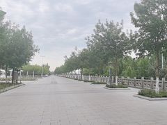 -伊犁河风景区