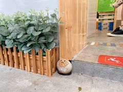 -呷贺盐酥鸡(抄纸巷店)