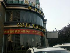 -风雅老树咖啡(清远店)