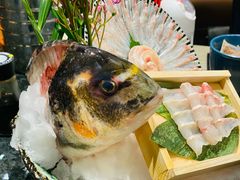黑金鲷刺身-夫子道刺身