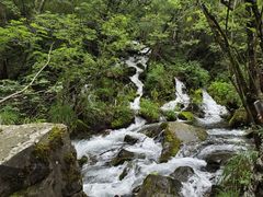 -叠溪松坪沟景区