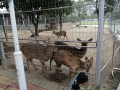-迪茵湖田家舍生态农场