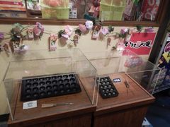 -章鱼烧博物馆(TAKOYAKI PARK)