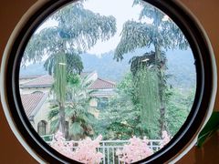 -重庆南山海昌汤都