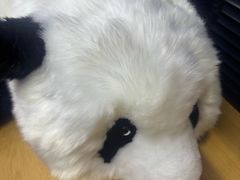 -上海久光百货
