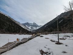 -黄龙山原始森林景区