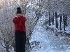 -四明山国家森林公园