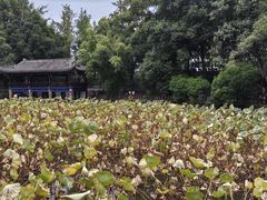 -房湖公园