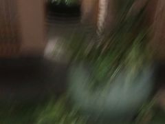 -青藤茶馆(凤起路店)