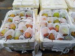 -三亚新鸿港水果一级批发市场