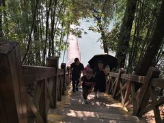 -广州市流溪河国家森林公园