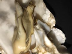 -三旗百汇商品城